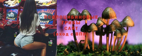 марки lsd Осинники
